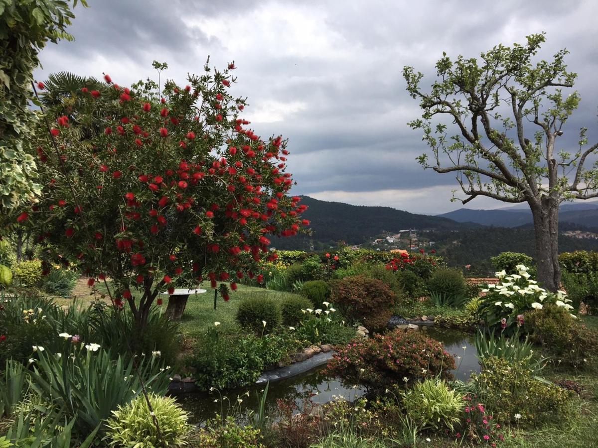 Casa Do Crasto Villa อามารังติ ภายนอก รูปภาพ
